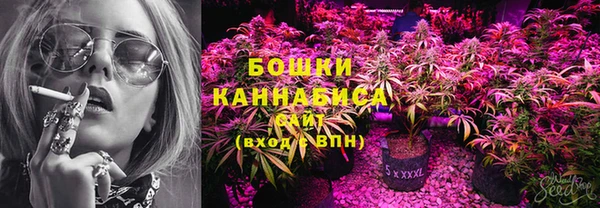сатива Покачи