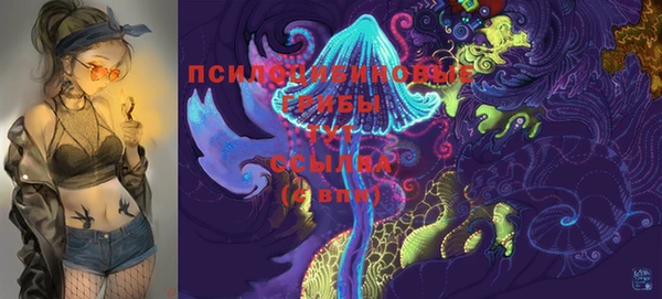 кокс Алексеевка