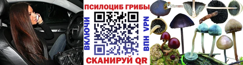 Галлюциногенные грибы мухоморы  кракен маркетплейс  Кирс  дарнет шоп 
