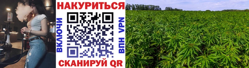 Канабис THC 21%  Кирс 